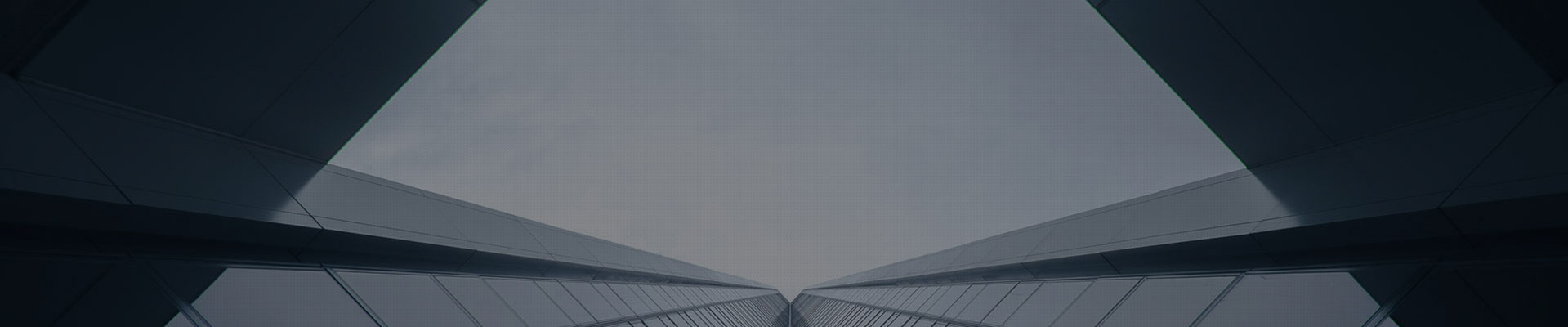 VPP